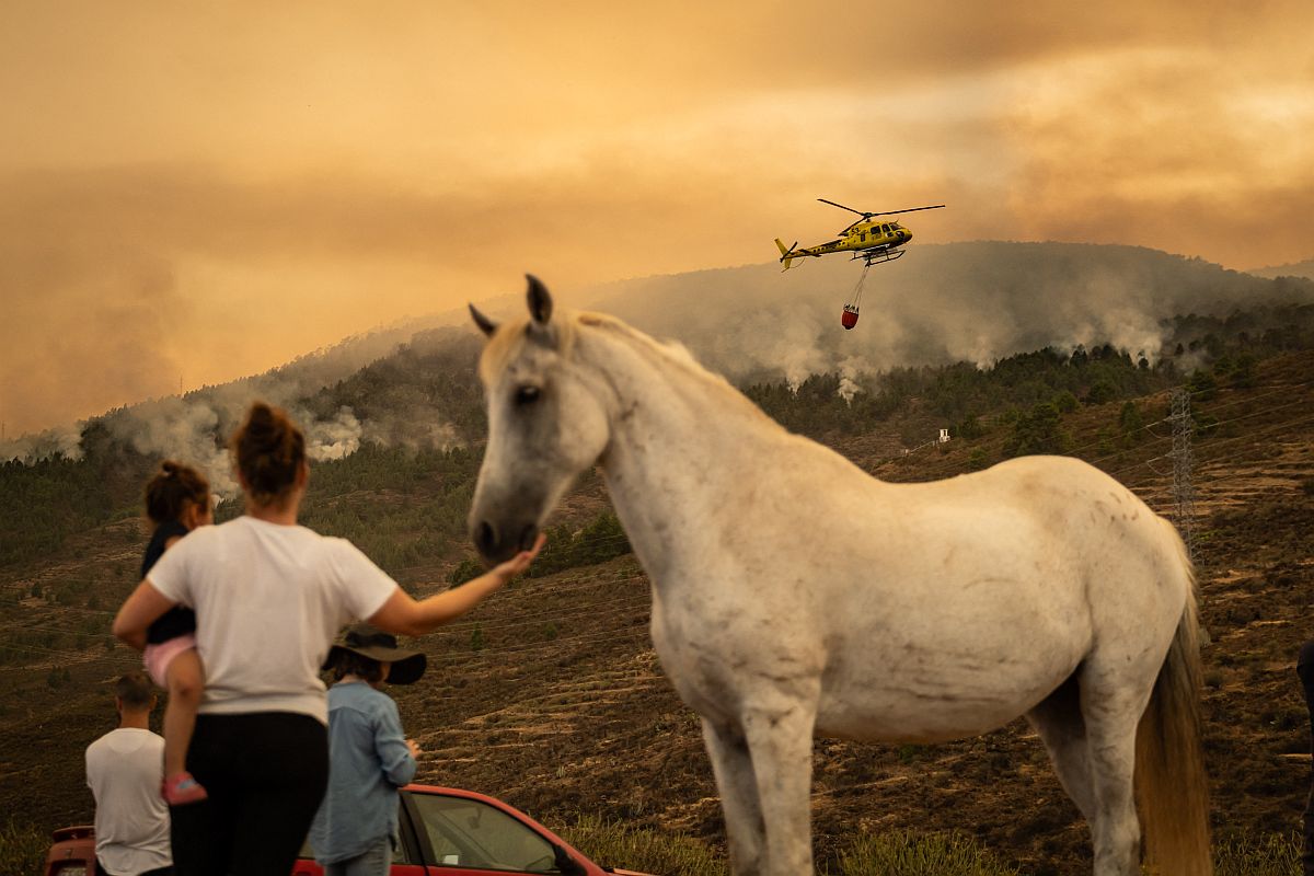 Egy lovat simogató anya a gyerekével nézi az erdőtüzet oltó helikoptert.