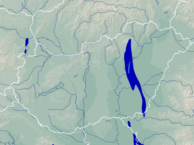 csapadék térkép