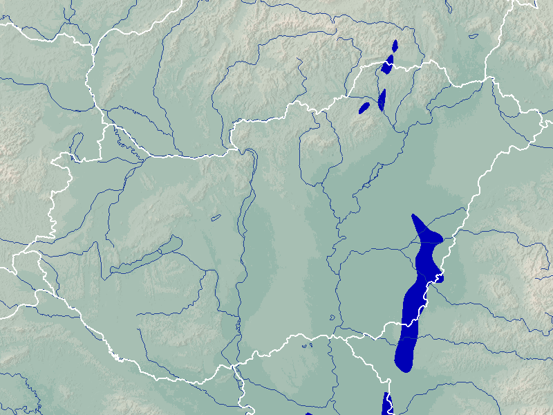 csapadék térkép