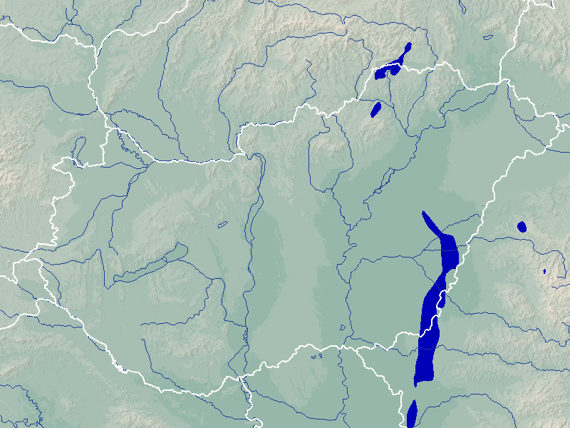 csapadék térkép