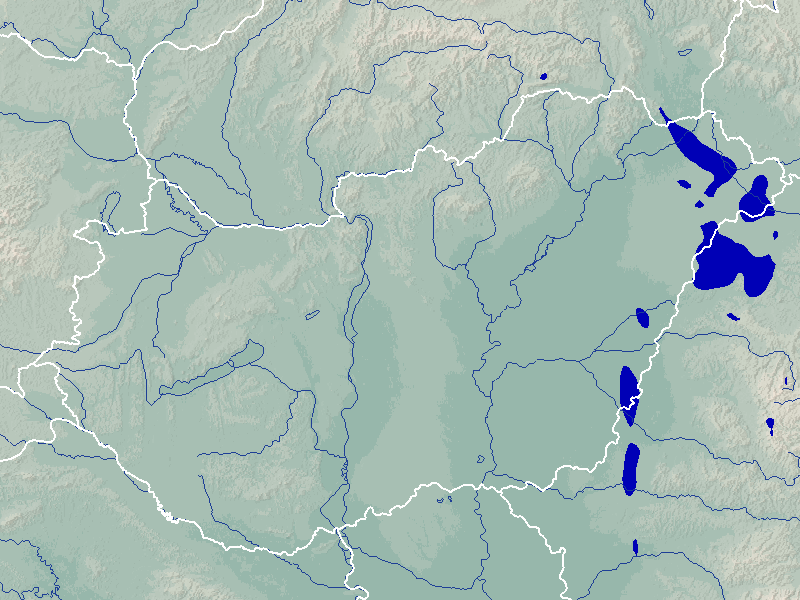 csapadék térkép