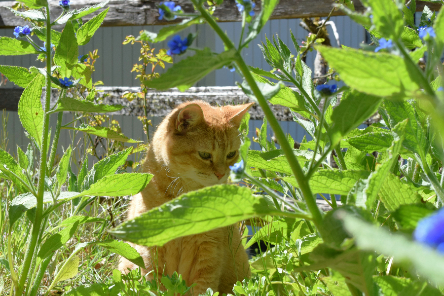 Innent l A Ny r Lesz A F szerep Kider l Id j r s